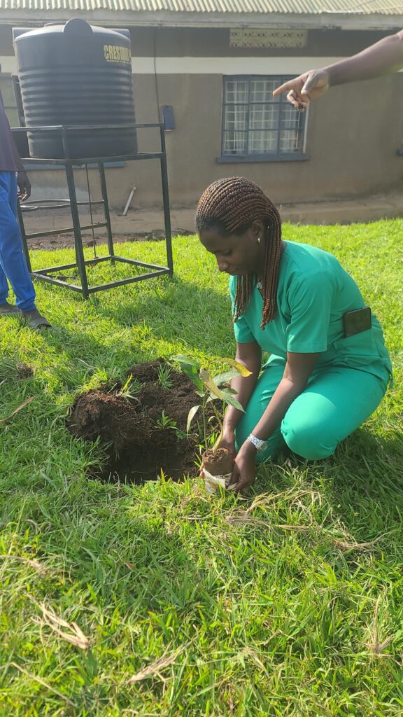 Greening Communities Through Tree Planting and Environmental Stewardship Sekiwunga Health Center III 576x1024