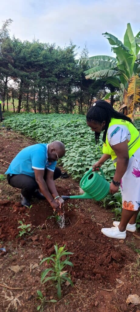 Greening Communities Through Tree Planting and Environmental Stewardship St. Monica Health Centre II 2 461x1024