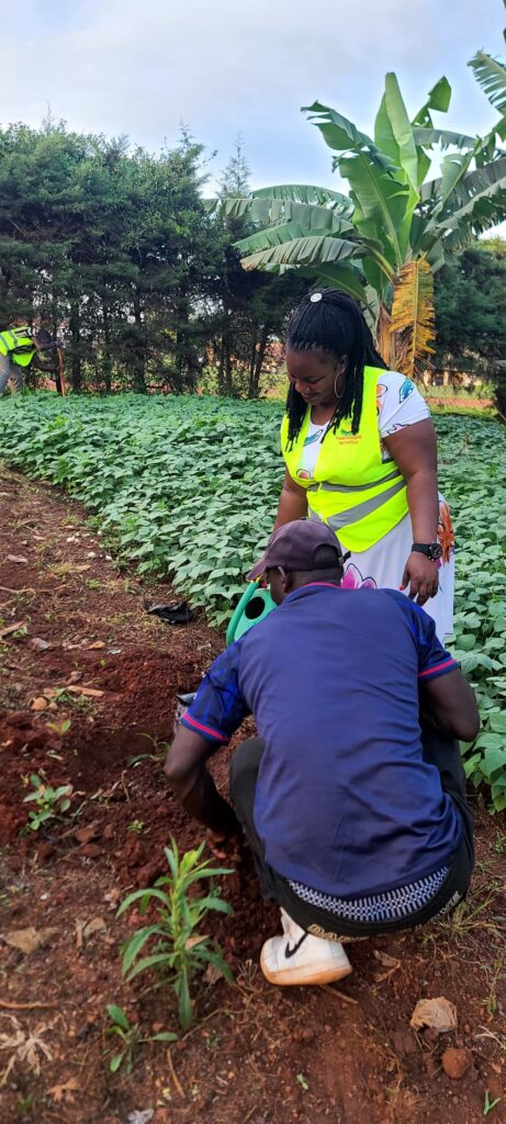 Greening Communities Through Tree Planting and Environmental Stewardship St. Monica Health Centre II 3 461x1024