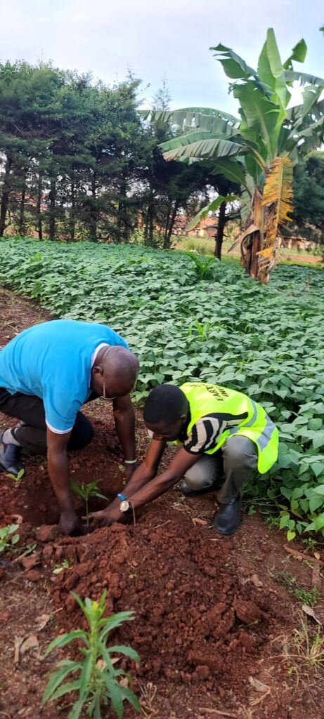 Greening Communities Through Tree Planting and Environmental Stewardship St. Monica Health Centre II 4 461x1024