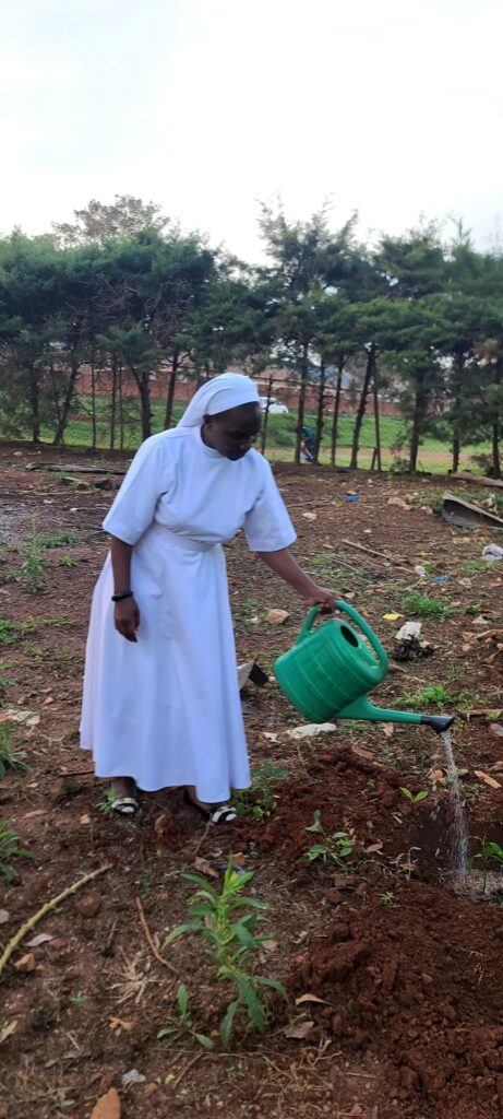 Greening Communities Through Tree Planting and Environmental Stewardship St. Monica Health Centre II 461x1024