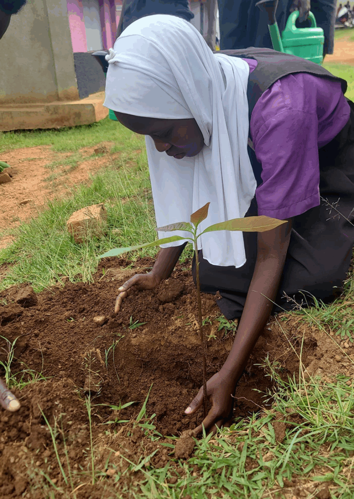 Greening Communities Through Tree Planting and Environmental Stewardship Image 5 727x1024