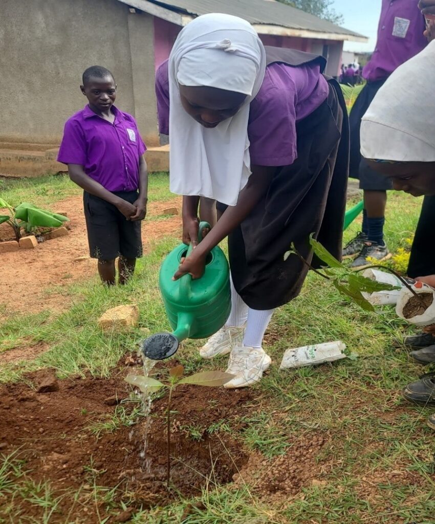 Greening Communities Through Tree Planting and Environmental Stewardship Watering 850x1024